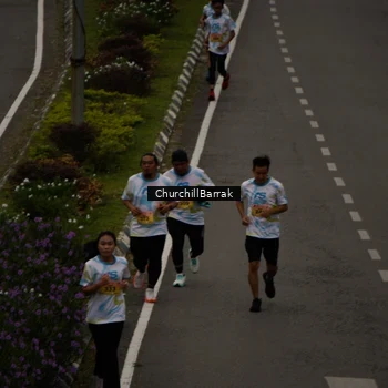 Runner Photo 8411613