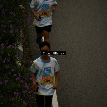 Runner Photo 8411614