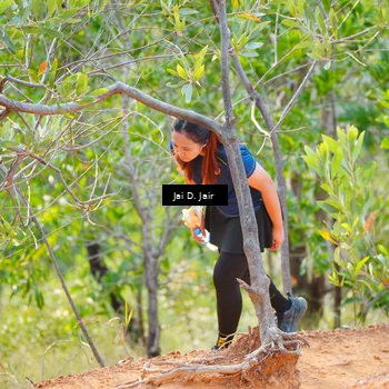 Runner Photo 8412575
