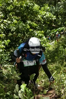 Runner Photo 84127