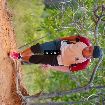 Runner Photo 8413167