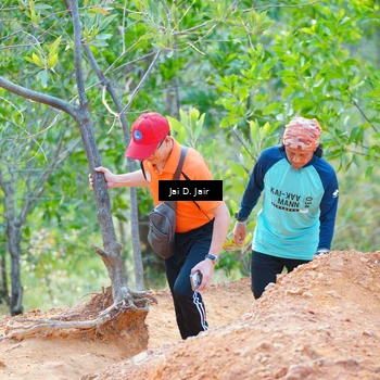 Runner Photo 8413322