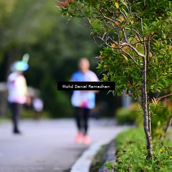 Runner Photo 8413620