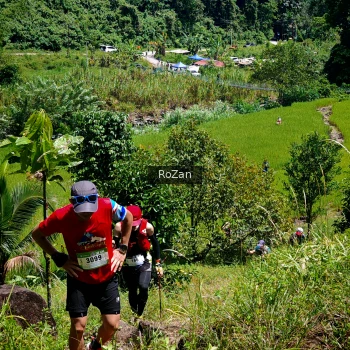 Runner Photo 84154