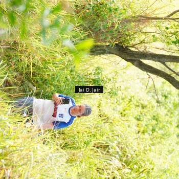 Runner Photo 8415662