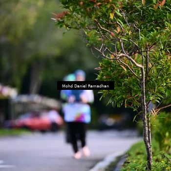 Runner Photo 8416019