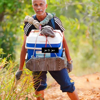 Runner Photo 8416421