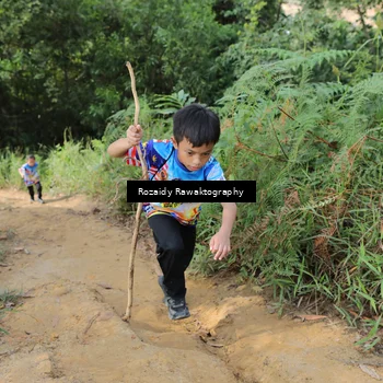 Runner Photo 8416843