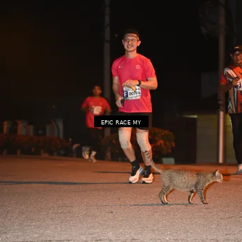 Runner Photo 8417146