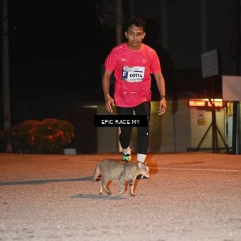 Runner Photo 8417161