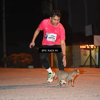 Runner Photo 8417163