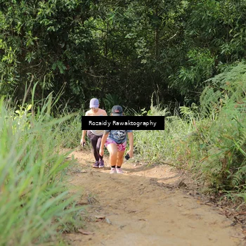 Runner Photo 8417252