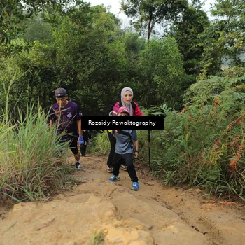 Runner Photo 8417297