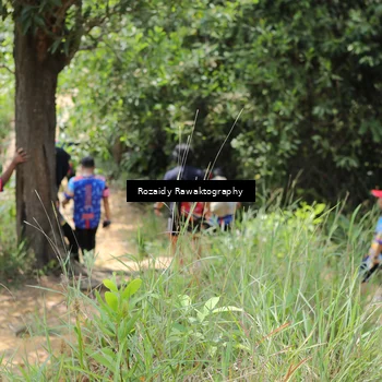 Runner Photo 8417633