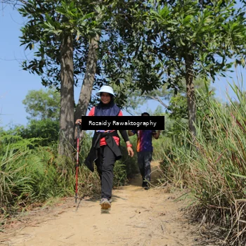 Runner Photo 8417722