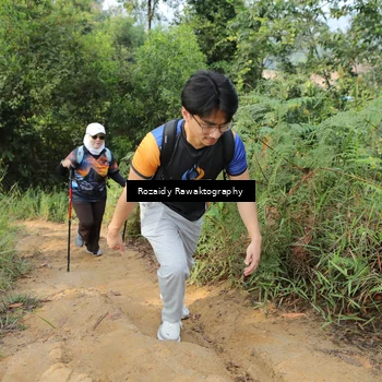 Runner Photo 8418009