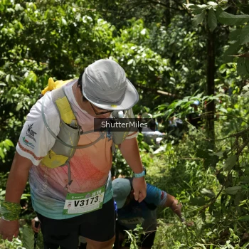 Runner Photo 84201