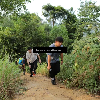Runner Photo 8423142