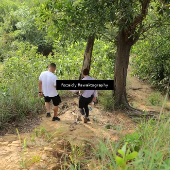 Runner Photo 8423155