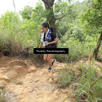 Runner Photo 8423191
