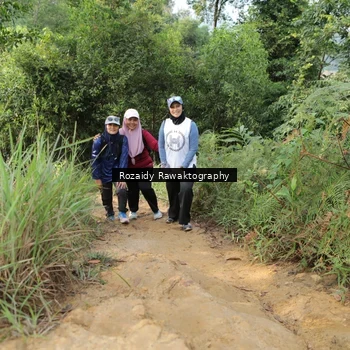 Runner Photo 8423210