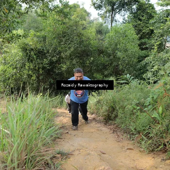 Runner Photo 8423241