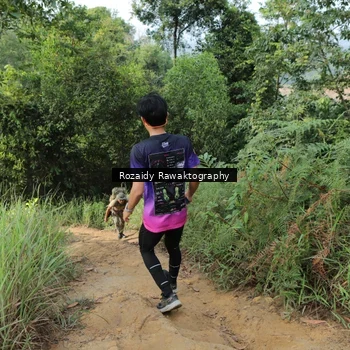 Runner Photo 8423291