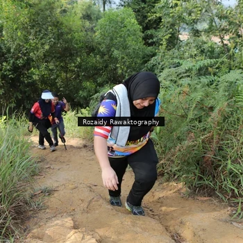 Runner Photo 8423424