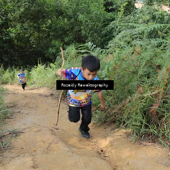 Runner Photo 8423465