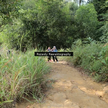 Runner Photo 8423477