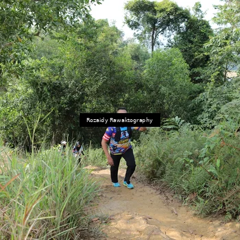 Runner Photo 8423511