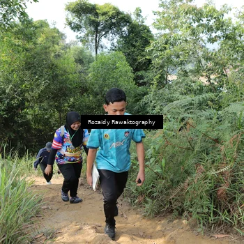 Runner Photo 8423520