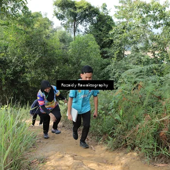 Runner Photo 8423527