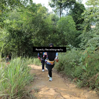 Runner Photo 8423545