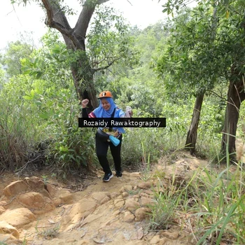 Runner Photo 8423549