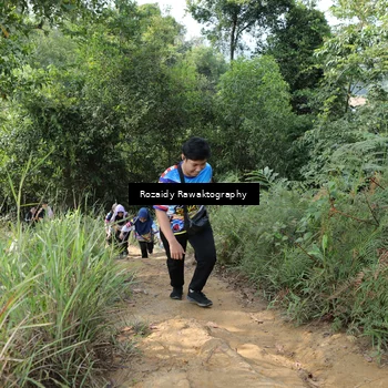 Runner Photo 8423556
