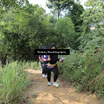 Runner Photo 8423557