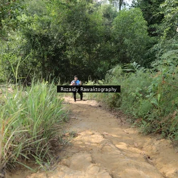 Runner Photo 8423573
