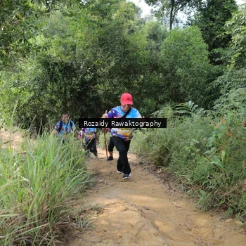 Runner Photo 8423625