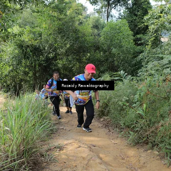 Runner Photo 8423626