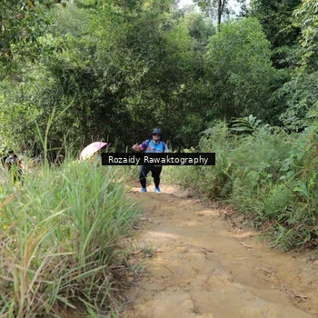 Runner Photo 8423709