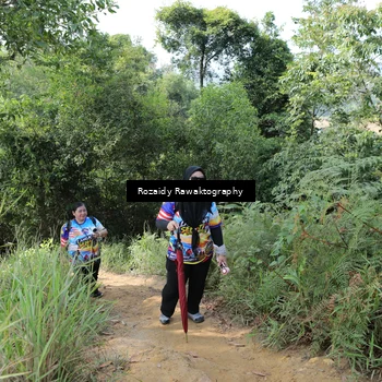 Runner Photo 8423725