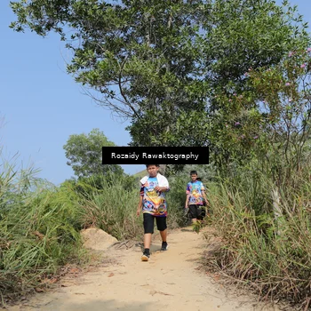 Runner Photo 8424200