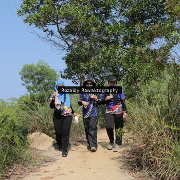 Runner Photo 8424216