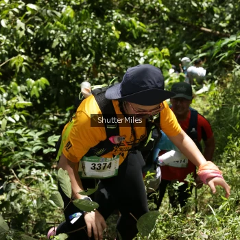 Runner Photo 84260