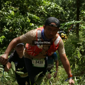 Runner Photo 84363