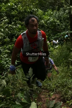 Runner Photo 84450