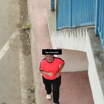 Runner Photo 8445806