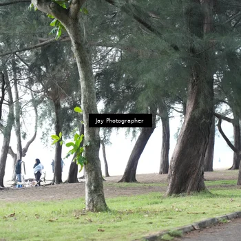 Runner Photo 8447552