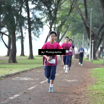Runner Photo 8447611